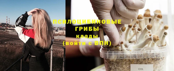 кокаин колумбия Алексин